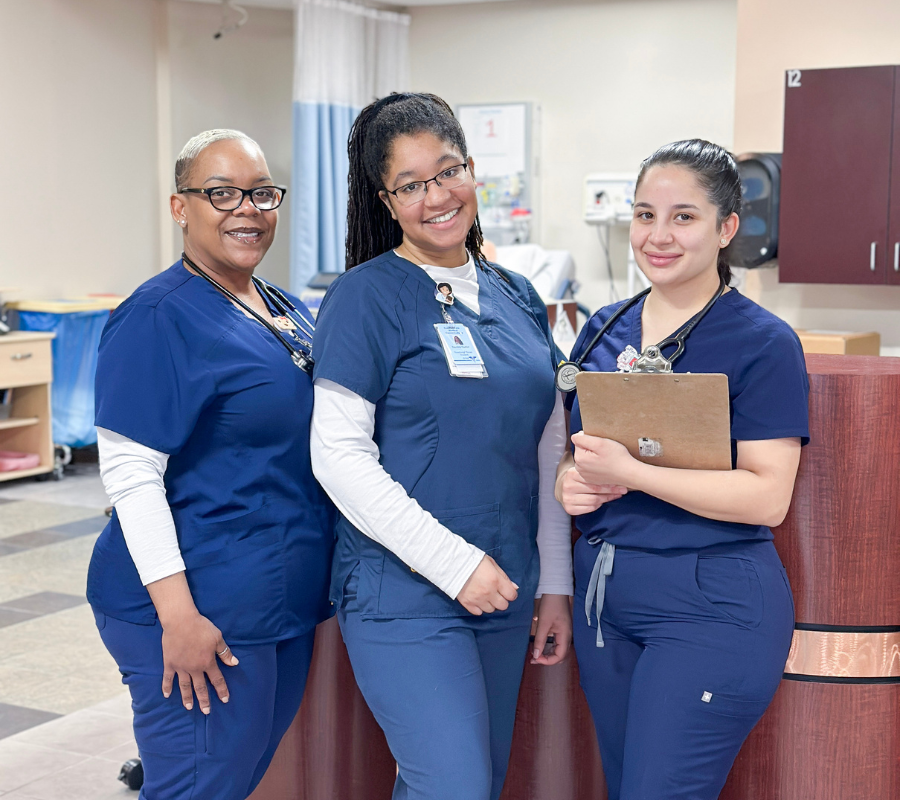 VN VN Diploma Program